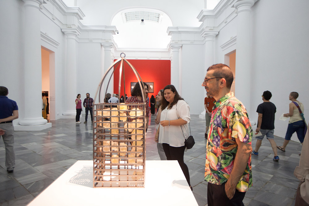 Programación expos agosto