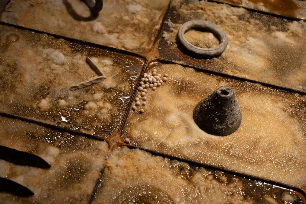 Memòries del sòl: art contemporani al Centre del Carme